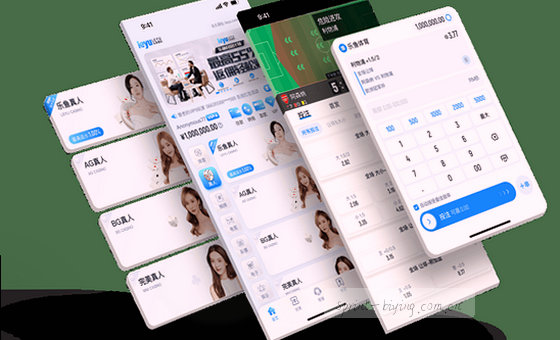 数据驱动 洞察本质